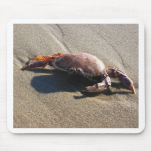 Souris Tapis de souris, Crabe, Plage de la Garde côtière