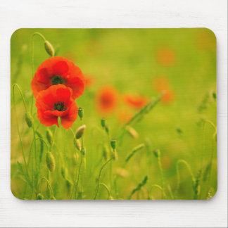 Souris Tapis de souris, Printemps et fleurs de coquelicot