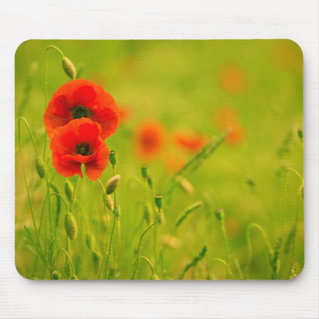Souris Tapis de souris, Printemps et fleurs de coquelicot (Devant)