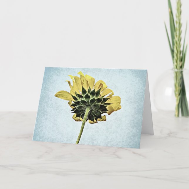 Sous La Carte Blanche Tournesol (Devant)