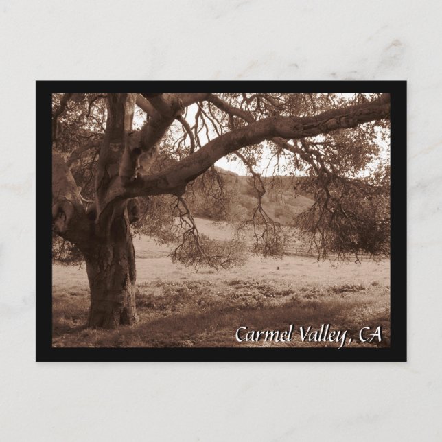 Sous la carte postale de Oaks (Devant)