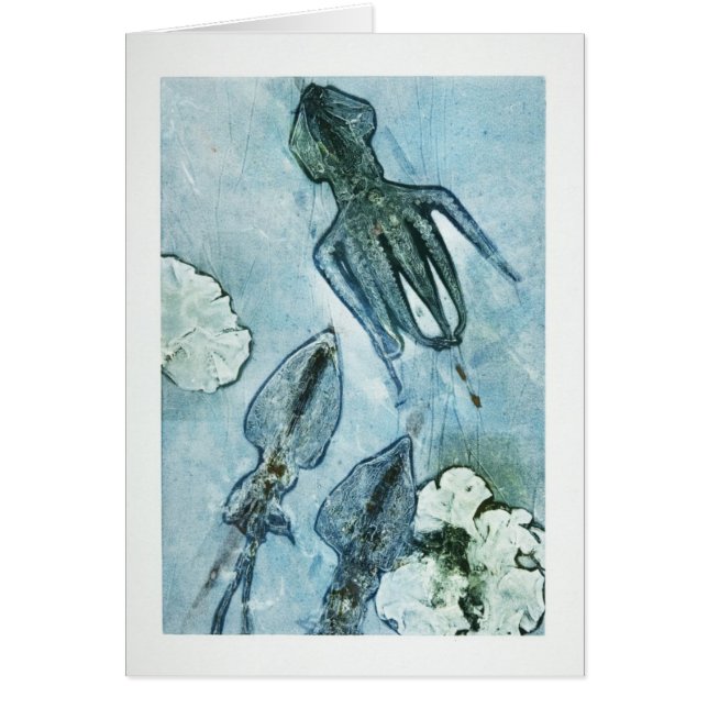 Sous la mer (Devant)