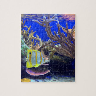 Sous le puzzle marin