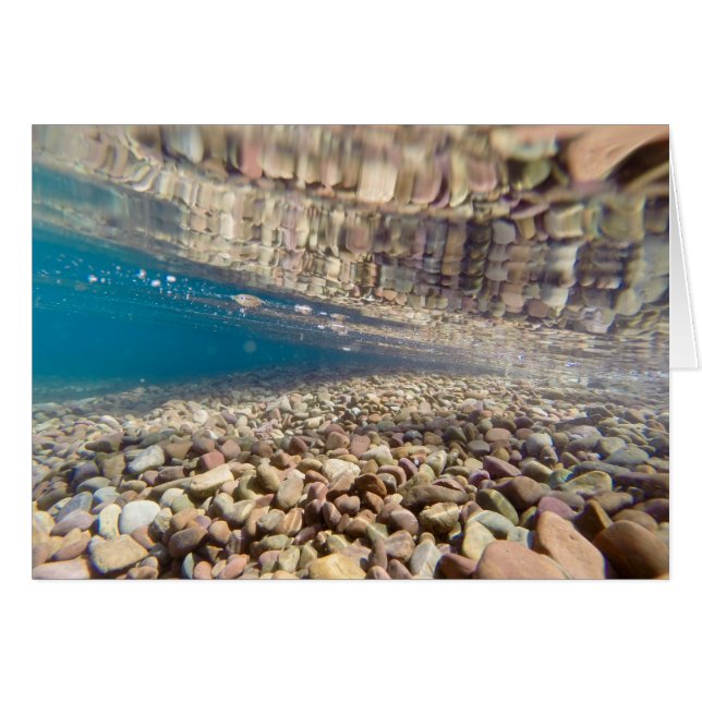 Sous l'eau au lac McDonald (Devant horizontal)