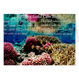 Sous l'eau corail marin et deux poissons clowns