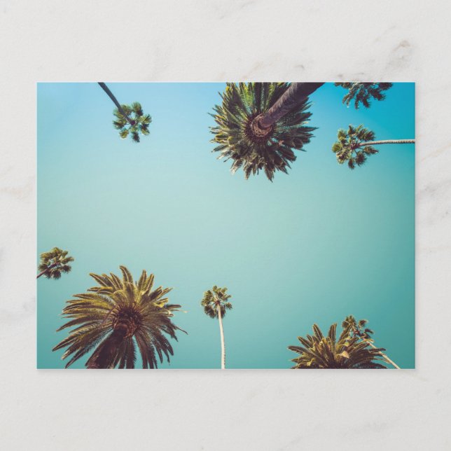 Sous les paumes, carte postale voyage photo (Devant)