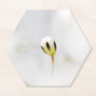 Sous-verre en papier de bourgeon de fleur blanche