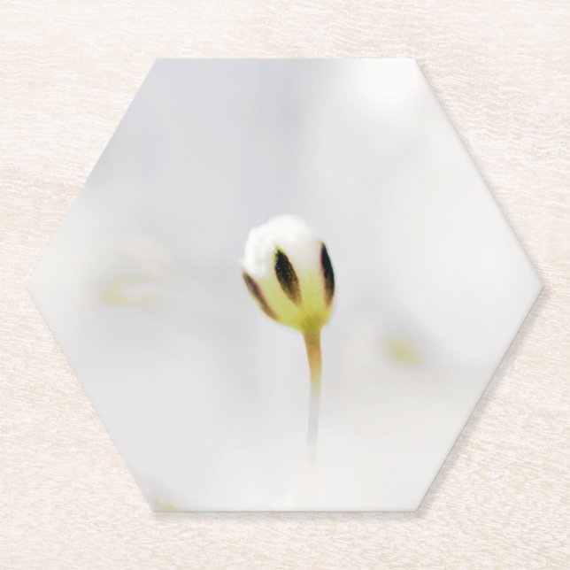 Sous-verre en papier de bourgeon de fleur blanche  (Devant)