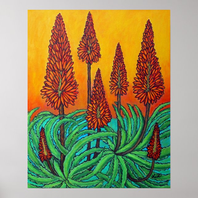 South African Fireball 16x20 Poster Paper (Matte) (Devant)