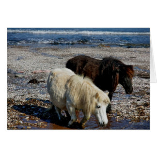South Devon Deux Ponts Shetland Sur La Plage Dista