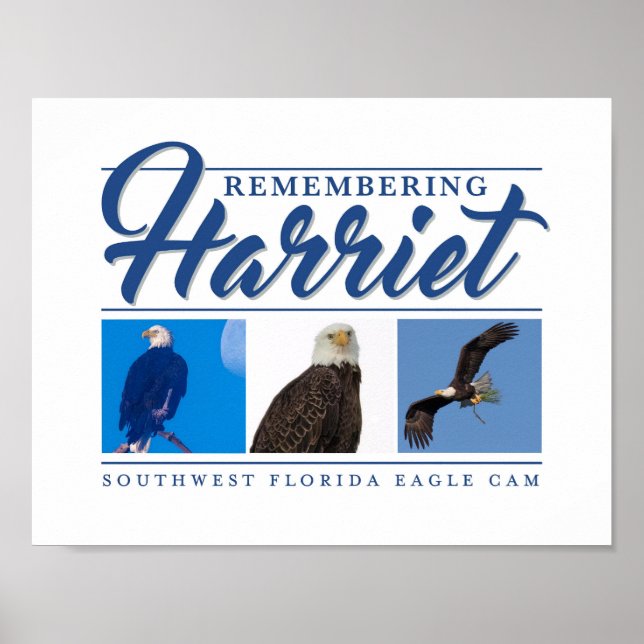 Souvenir de Harriet SWFL Eagle Cam Wall Poster (Devant)