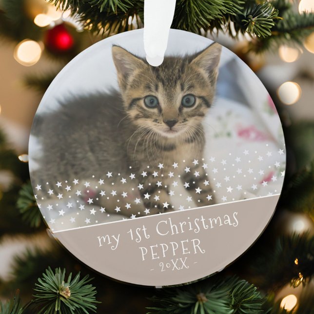 Souvenir de la 1ère photo de Noël de chat (Créateur téléchargé)