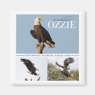 Souvenir d'Ozzie Magnet