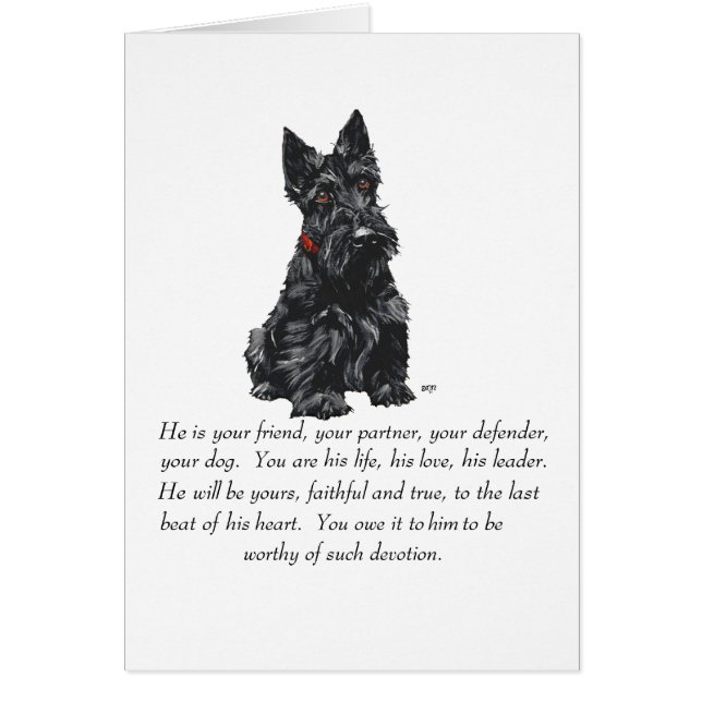 Souvenir du Scottish Terrier (Devant)