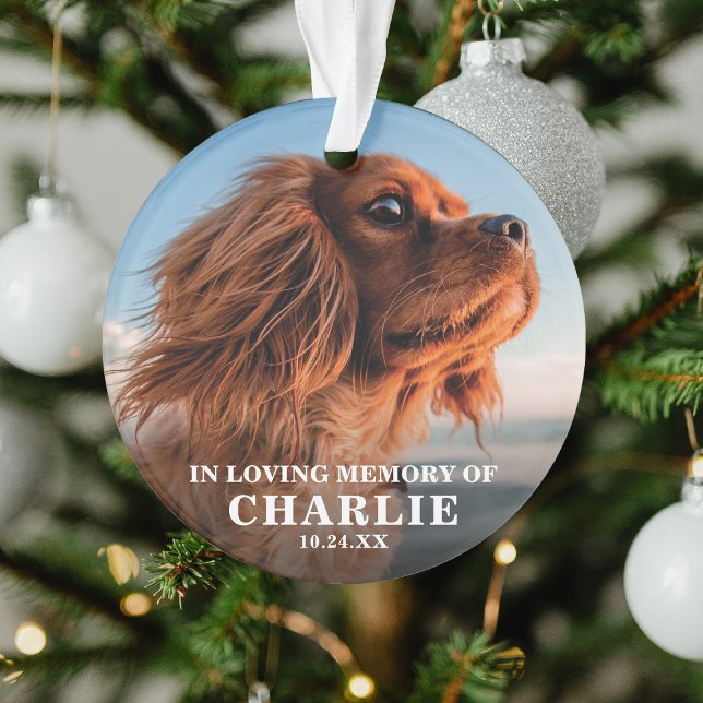 Souvenir Photo Pet Memorial (Créateur téléchargé)