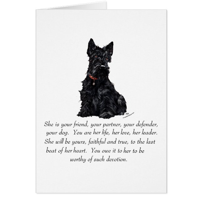 Souvenir Scottish Terrier - FEMELLE (Devant)