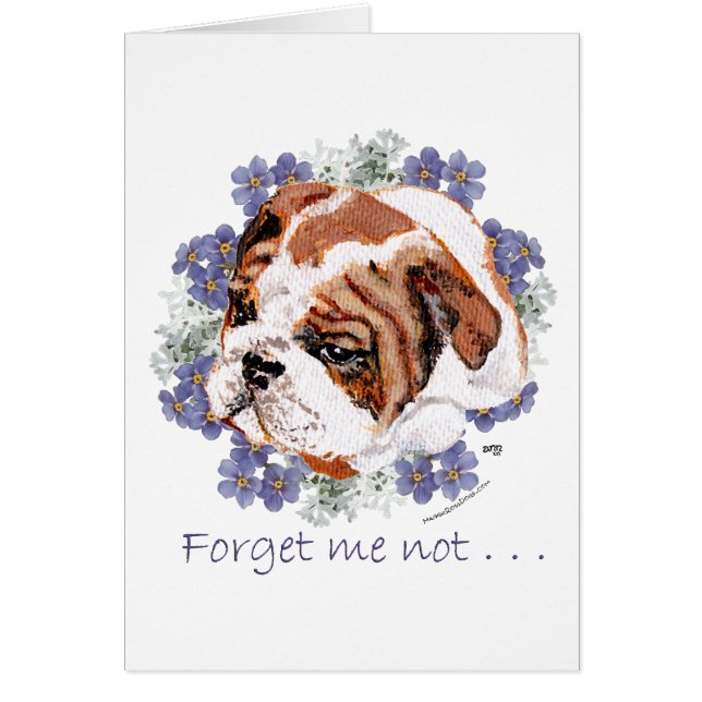 Souvenirs d'English Bulldog (Devant)