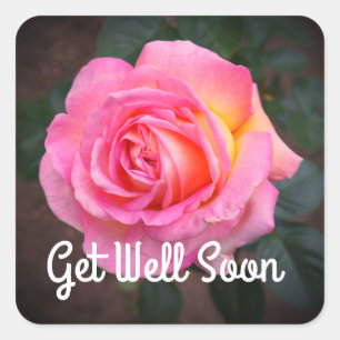 Soyez bien Bientôt Elle Rose #3 Stickers