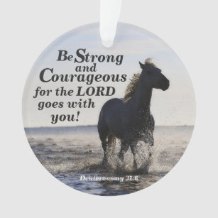 Soyez fort et courageux, Deut 31 Horse Custom