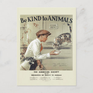 Soyez gentil avec Animaux USA Carte postale vintag