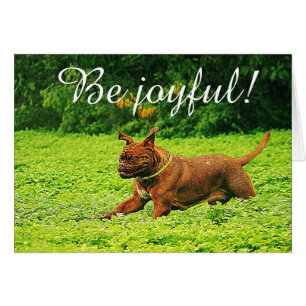 "Soyez joyeux ! "