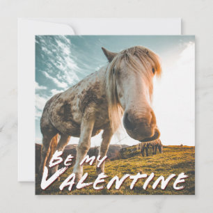 Soyez ma Saint-Valentin en regardant Cheval