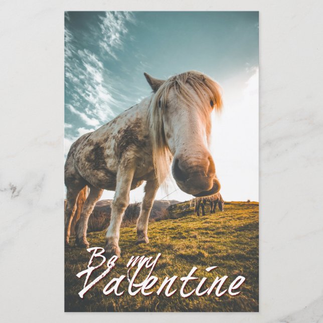 Soyez ma Saint-Valentin en regardant Horse V2.0 (Devant)