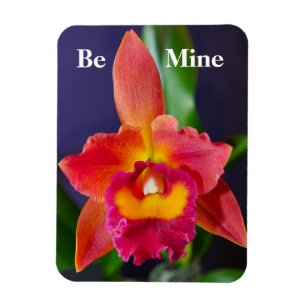 Soyez mien Orange Orange Orange Magnet flexible