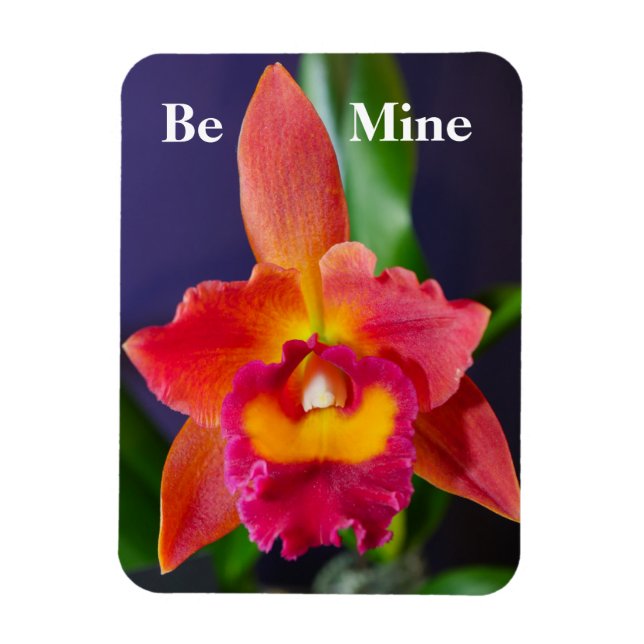 Soyez mien Orange Orange Orange Magnet flexible (Vertical)