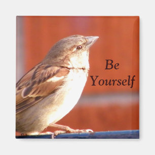 Soyez vous-même un aimant