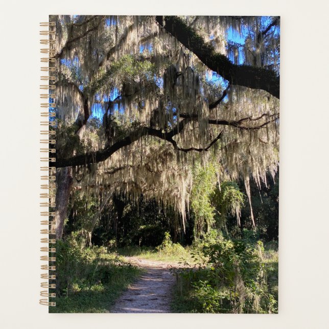 Spanish Moss (Devant)