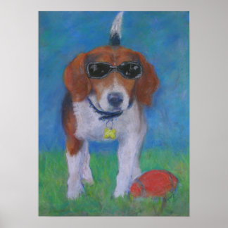 Sparky Dog:  Looking Cool poster