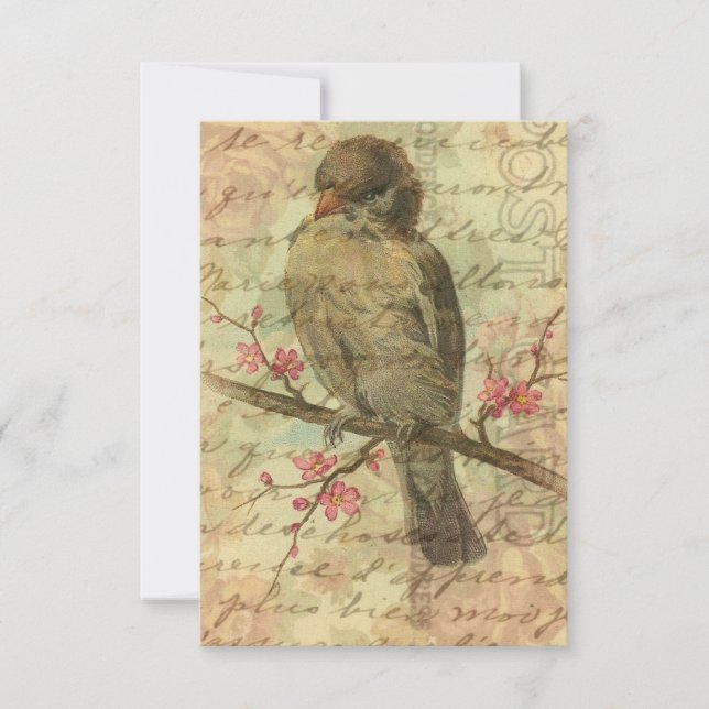 Sparrow vintage Enregistrer La Date Pour Mariage (Devant)