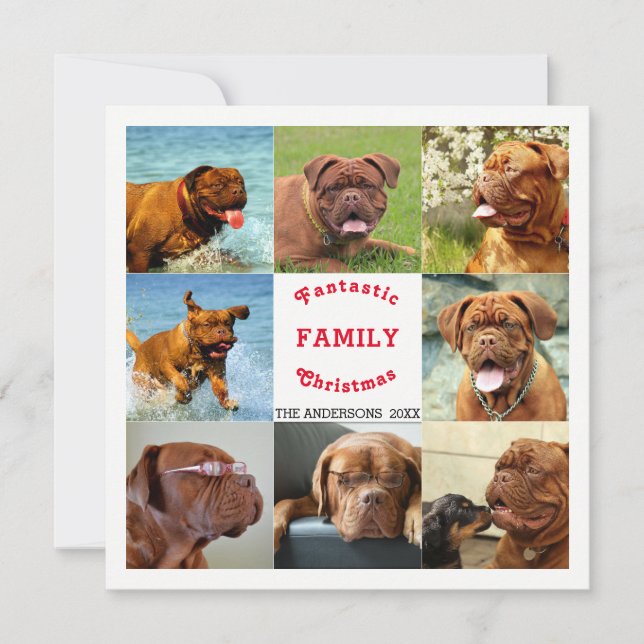 Spectaculaire de Noël de famille de huit photos (Devant)