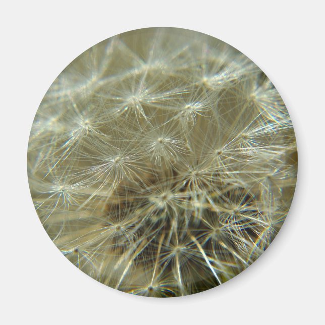 Sphère de liquide - Aimant (Devant)