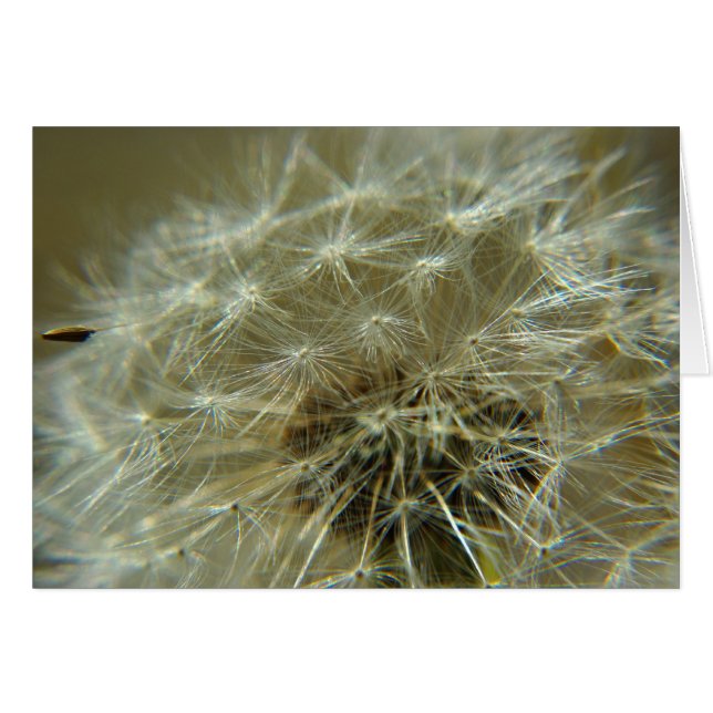 Sphère fluide - Carte (Devant horizontal)