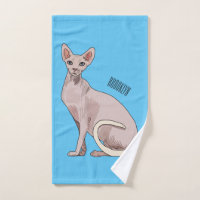 Sphynx cat