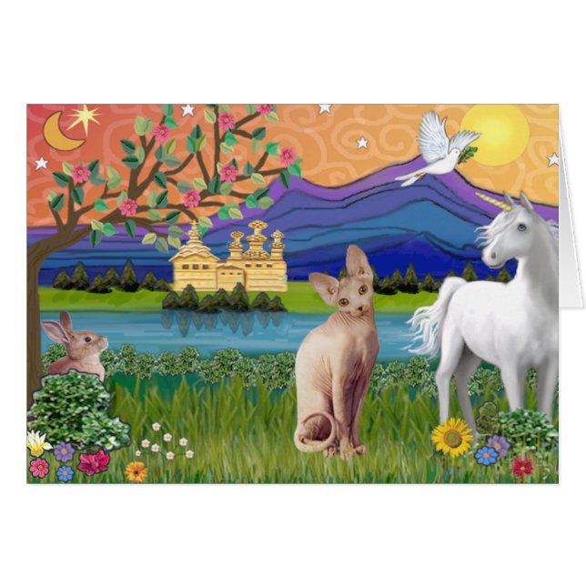 Sphynx Chat 1 - Terrain Imaginaire (Devant horizontal)
