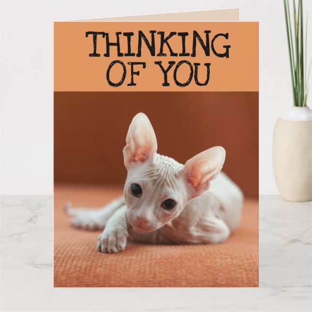 SPHYNX CHAT PENSER À VOUS CARTE DE RECONNAISSANCE (Devant)