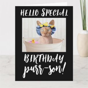 SPHYNX CHAT SANS CHEVEUX CARTES DE SALUT D'ANNIVER