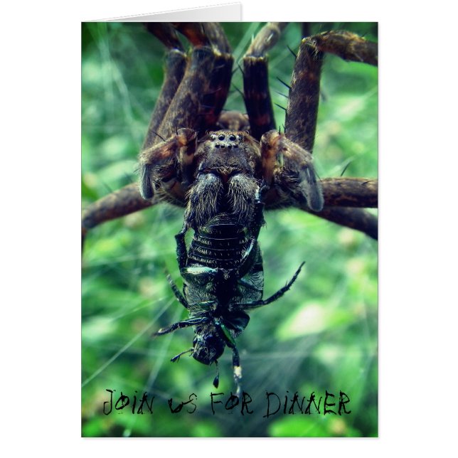 Spider Halloween Dîner Invitation (Devant)
