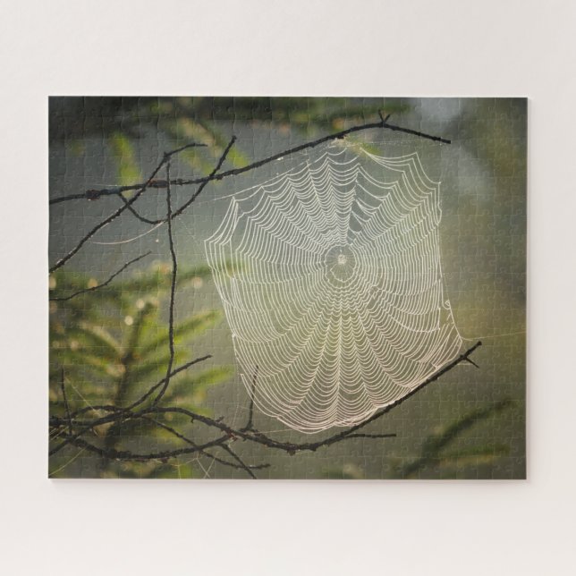 Spider Web Jigsaw Puzzle (Horizontal)