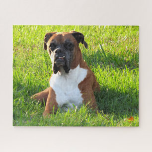 Spike the Boxer - Puzzle