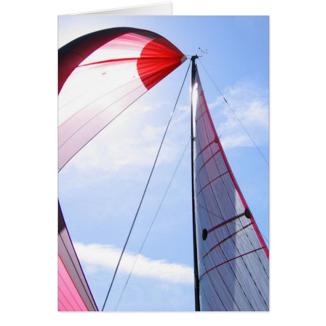 Spinnaker rouge avec Sun (Devant)