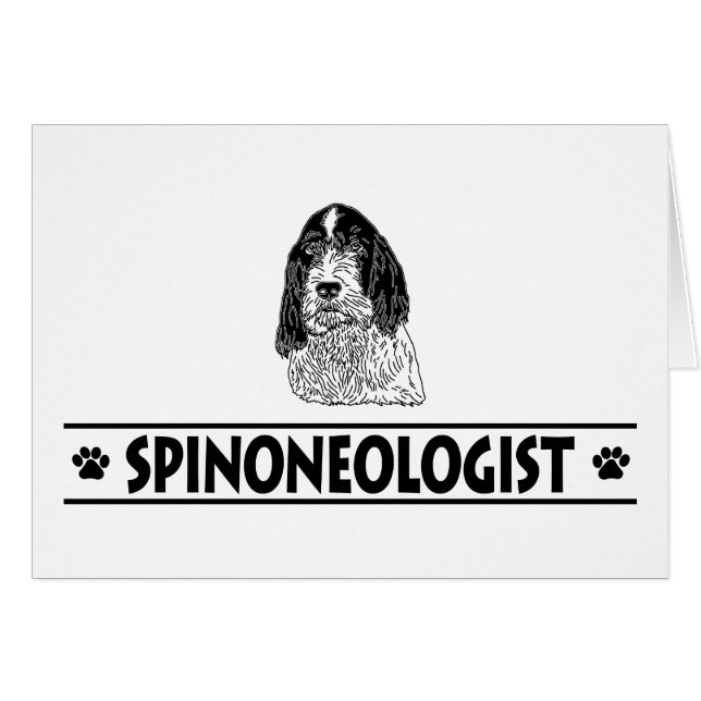 Spinone Italiano (Devant Horizontal)