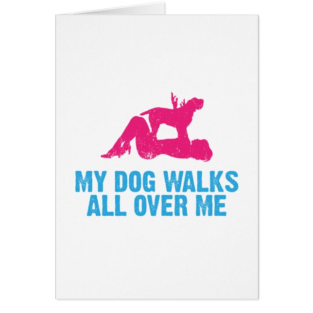 Spinone Italiano (Devant)