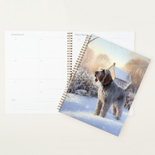 Spinone Italiano Que la neige de Noël