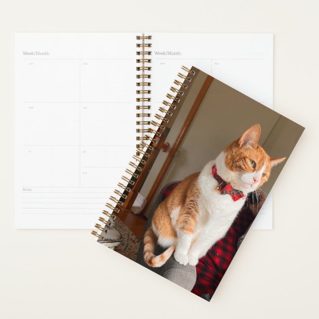 Spiral Planner Cozy Orange Tabby Cat  (Devant avec enveloppe)