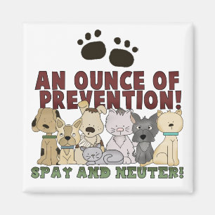 Spirer et Neuter vos animaux de compagnie Aimant
