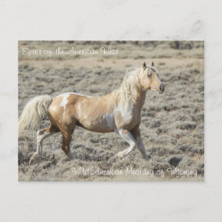 Spirit of the American West - Carte postale